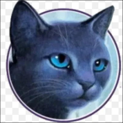 Qui est son premier mentor ?