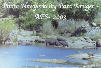 Quel est cet animal en H, un mammifère semi-aquatique au corps volumineux en forme de fût, vivant en Afrique subsaharienne ?,