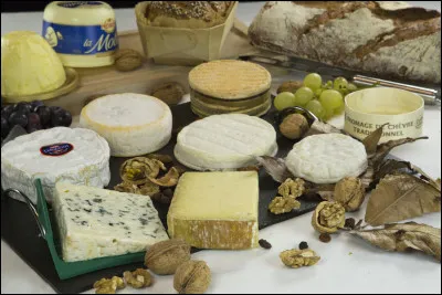 Fromages : combien en compte-t-on dans notre beau pays, la France ?