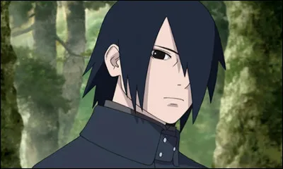 Au début de l'histoire, quel est l'objectif de Sasuke ?