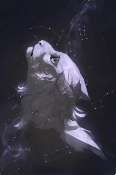 Le sacrifice de Soie de Gel.
Elle a noyé l’Imposteur d’Étoile de Ronce dans les eaux de la Forêt Sombre et elle est morte noyée aussi.
Où est-elle et qui était l’Imposteur ?