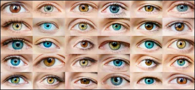 Quelle est ta couleur dyeux ?