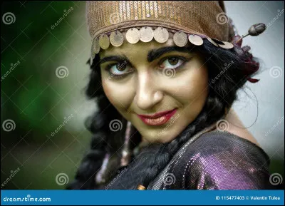 Arles est la ville française qui accueille tous les ans les Gitans de tous les pays qui viennent y vénérer Sainte Sara la Brune.