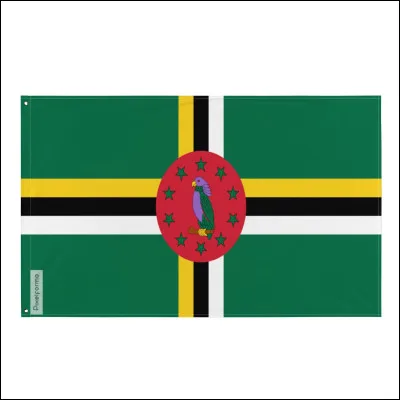 De quel pays provient ce drapeau ?