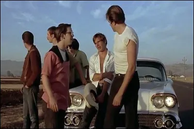 En 1972, on propose à Ford le rôle d'un fan de vitesse en la personne de Bob Falfa. Quel est ce film ?