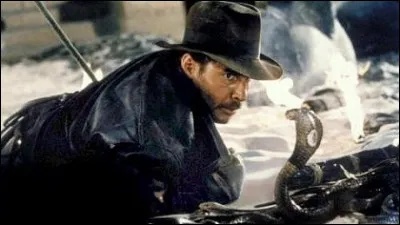 Dans quel film va-t-il se blesser plusieurs fois lors de cascades ?