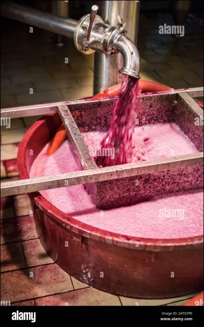 Des ingrédients d'origine animale peuvent-ils êtres utilisés dans l'élaboration du vin ?