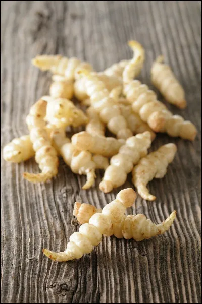 Quels sont ces légumes ressemblant à une chenille ?
