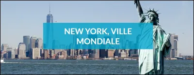 De quelle couleur sont les taxis &agrave; New York ?