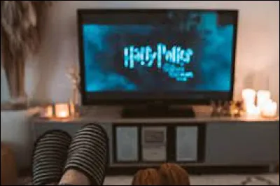 Petite soirée en amoureux devant la télévision, tu serais plutôt :