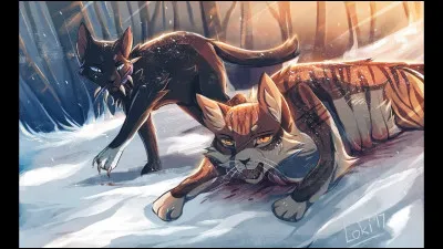 #3. Mes deux frères pensent que je suis morte. Pourtant je suis toujours en vie mais, je suis une guerrière oubliée.