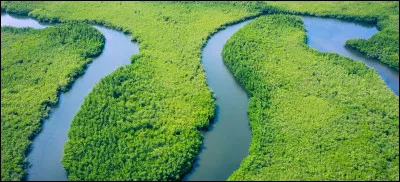 Quel est le fleuve le plus long entre ceux-là ?