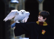 Quiz Connaissez-vous tous les secrets de Harry Potter ?