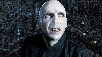 Voldemort a eu un enfant.