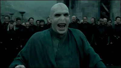 Delphini la fille de Voldemort, est capable de voler comme lui, sans balais.