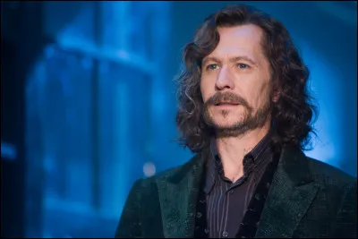 Qui tue Sirius Black ?