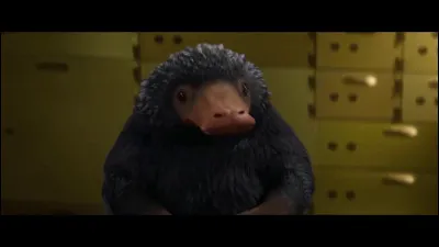 Qui fait entrer les nifleurs dans le bureau d'Ombrage ?