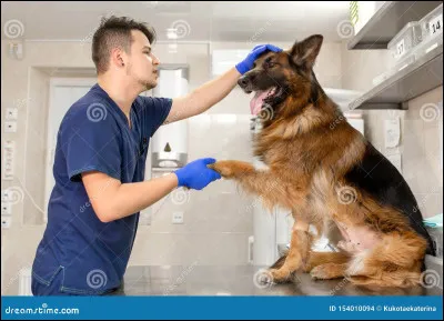 Comment s'appelle ce m&eacute;tier ?