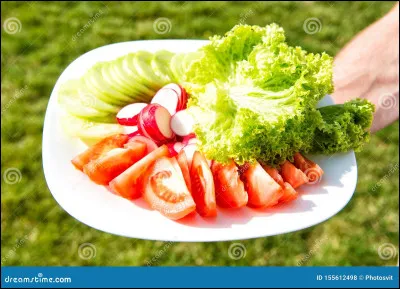 Qu'est-ce qu'un v&eacute;g&eacute;tarien ?