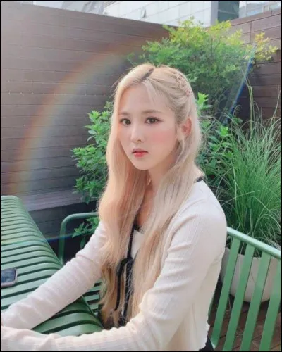 Quelle est ta couleur pr&eacute;f&eacute;r&eacute;e ?