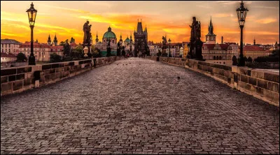 Que voyez-vous sur cette photo ?