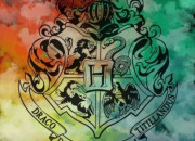Test Quelle est votre maison dans ''Harry Potter'' ?