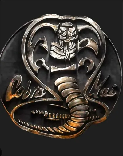 Qui trouves-tu le plus beau dans le dojo Cobra Kai, entre eux ?