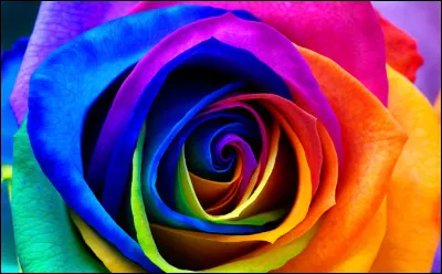 Quelle est ta couleur préférée parmi celles-ci ?