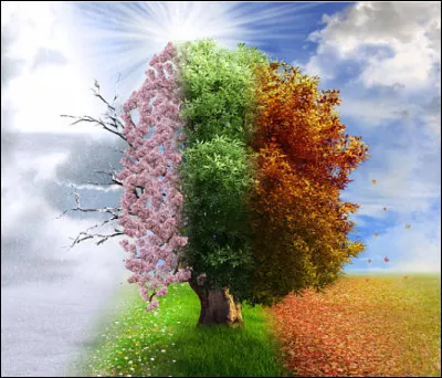 Quelle est ta saison préférée ?