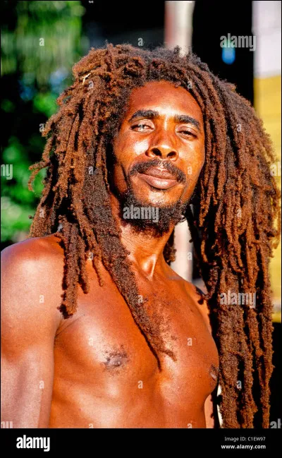 Quel est le nom de la coiffure traditionnelle des rastas ?