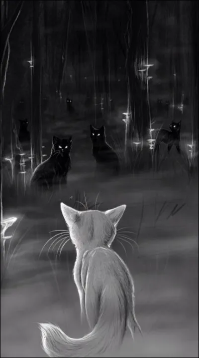 Apr&egrave;s cette rencontre, tu rentres &agrave; ton camp et vas te reposer.Mais tu te r&eacute;veilles dans une &eacute;trange for&ecirc;t sombre et une chatte s'approche, elle te dit qu'elle s'appelle Lune de Sable. Elle te dit aussi qu'elle peut t'aider &agrave; devenir un grand guerrier. Que lui r&eacute;ponds-tu ?