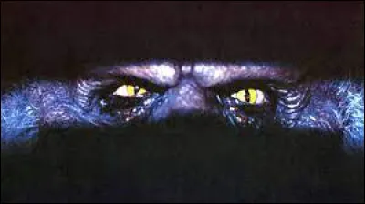 Dans le segment 4 La Caisse, quel animal se cache dans la caisse mystérieuse trouvée sous un escalier de luniversité ?