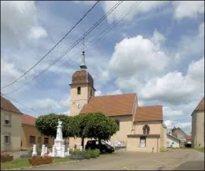Pour finir, je vous emmène à Venisey. Village Haut-Saônois, il se situe dans l'ex région ...