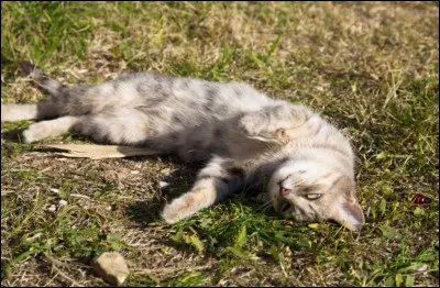 Comment Source Claire est-elle morte ?