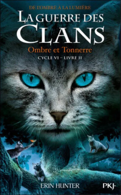 Quel est le nom de guerrière de Nuage de Brindille ?