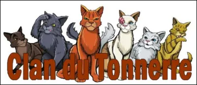 Quel est le premier chat sauvage quil rencontre ?