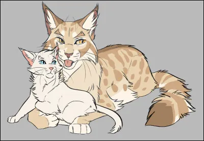 Quel est le mentor de Nuage de Feu dans le cycle 1 ?