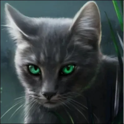 Dans le livre deux du cycle 1, quel est le premier apprenti de Cur de Feu ?