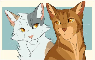 Quelle est la couleur de la robe de Cur de Feu ?