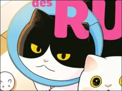 Comment appelle-t-on les chats bicolores (noir et blanc) en japonais ?