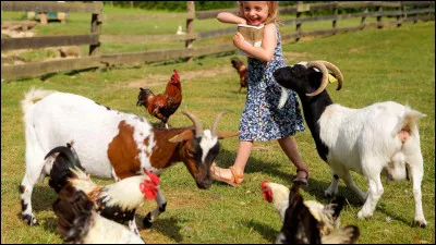 Comment peut se dire "ferme" en polonais ?