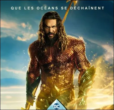 Quel film est représenté par ce poster ?