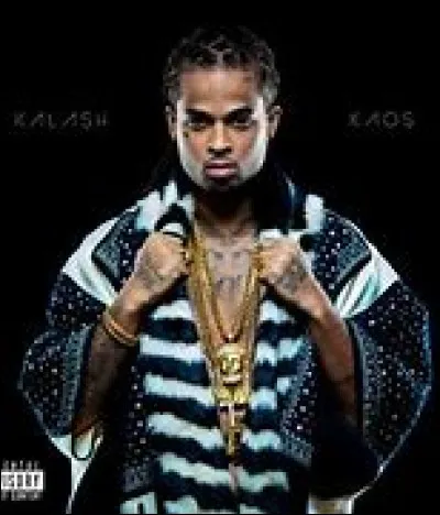 Qui chante ''Protocole'' ?