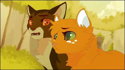 Et quelques lunes plus tard... tu pars en haut de la colline o&ugrave; la plus grande aventure de ta vie a commenc&eacute; ! Puis Feuille de Ronce te rejoint et vous voyez Nuit C&eacute;leste, Plume de Sauge et Nuage de Plume leur fille. Qu'en penses-tu ?