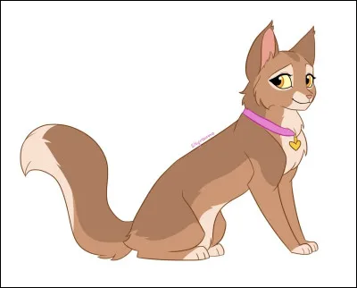 Vous vous r&eacute;veillez le lendemain matin, remarquez un chat &agrave; l'horizon et ce chat ressemble beaucoup de loin &agrave; Nuit C&eacute;leste mais, une fois arriv&eacute;s pr&egrave;s de ce chat vous comprenez que c'est un simple chat domestique perdu. Mais il vous dit, quand vous lui expliquez la situation, qu'il a bel et bien vu un chat noir et blanc aux yeux bleu glace accompagn&eacute; d'un autre chat. Qu'en penses-tu ?