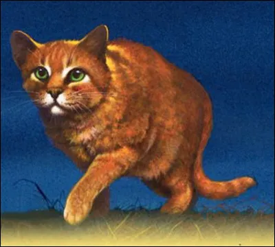 Cur de Feu devient-il lieutenant ?