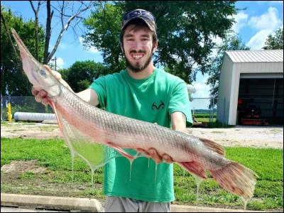 Quel prénom de garçon préfères-tu ?