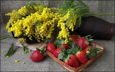 Quel est le bon titre de ce roman policier ?