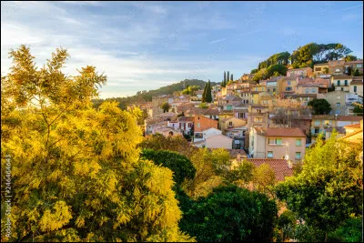 À quelle chanteuse doit-on le titre "L'Île aux mimosas" ?