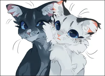 Quels ont été les noms dÉtoile Bleue ?